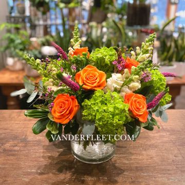 Enchanted Orange