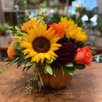 Fall Harvest Pumpkin