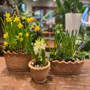 Springtime Trio