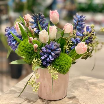 Spring Blooms