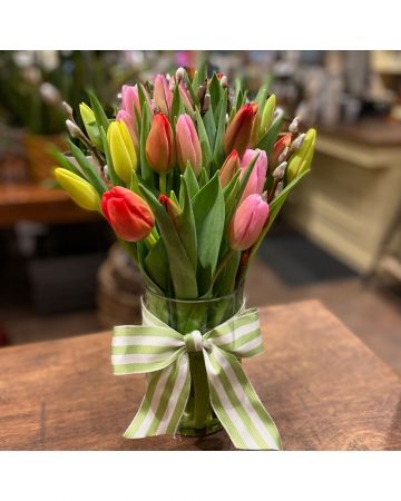 Springtime Tulips