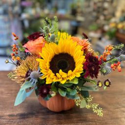 Autumn Harvest Splendor