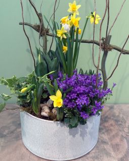 Blooming Garden