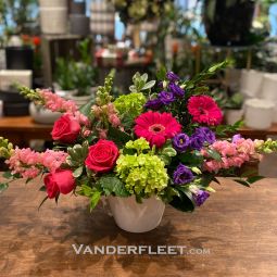 Bold Blooms