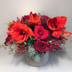 Crimson Joy Deluxe