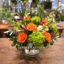 Enchanted Orange