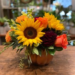 Fall Harvest Pumpkin