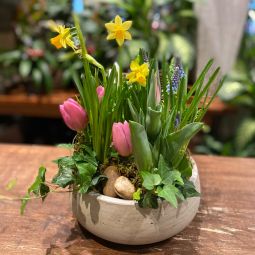 Spring Planter