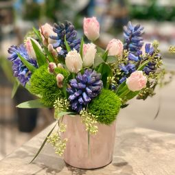 Spring Blooms
