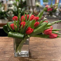 Modern Red Tulips