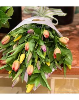 Cut Tulips Bouquet