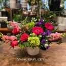 https://www.vanderfleet.com/pub/media/catalog/product/cache/6f3a78c7c534f51723b10197e7a4cab5/b/o/bold-blooms_1_1.jpg