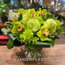 https://www.vanderfleet.com/pub/media/catalog/product/cache/6f3a78c7c534f51723b10197e7a4cab5/g/r/green-elegance.jpg