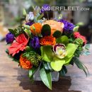 https://www.vanderfleet.com/pub/media/catalog/product/cache/6f3a78c7c534f51723b10197e7a4cab5/o/r/orange-style_1_2.jpg