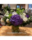 https://www.vanderfleet.com/pub/media/catalog/product/cache/6f3a78c7c534f51723b10197e7a4cab5/p/u/purple-passion1_1.jpg